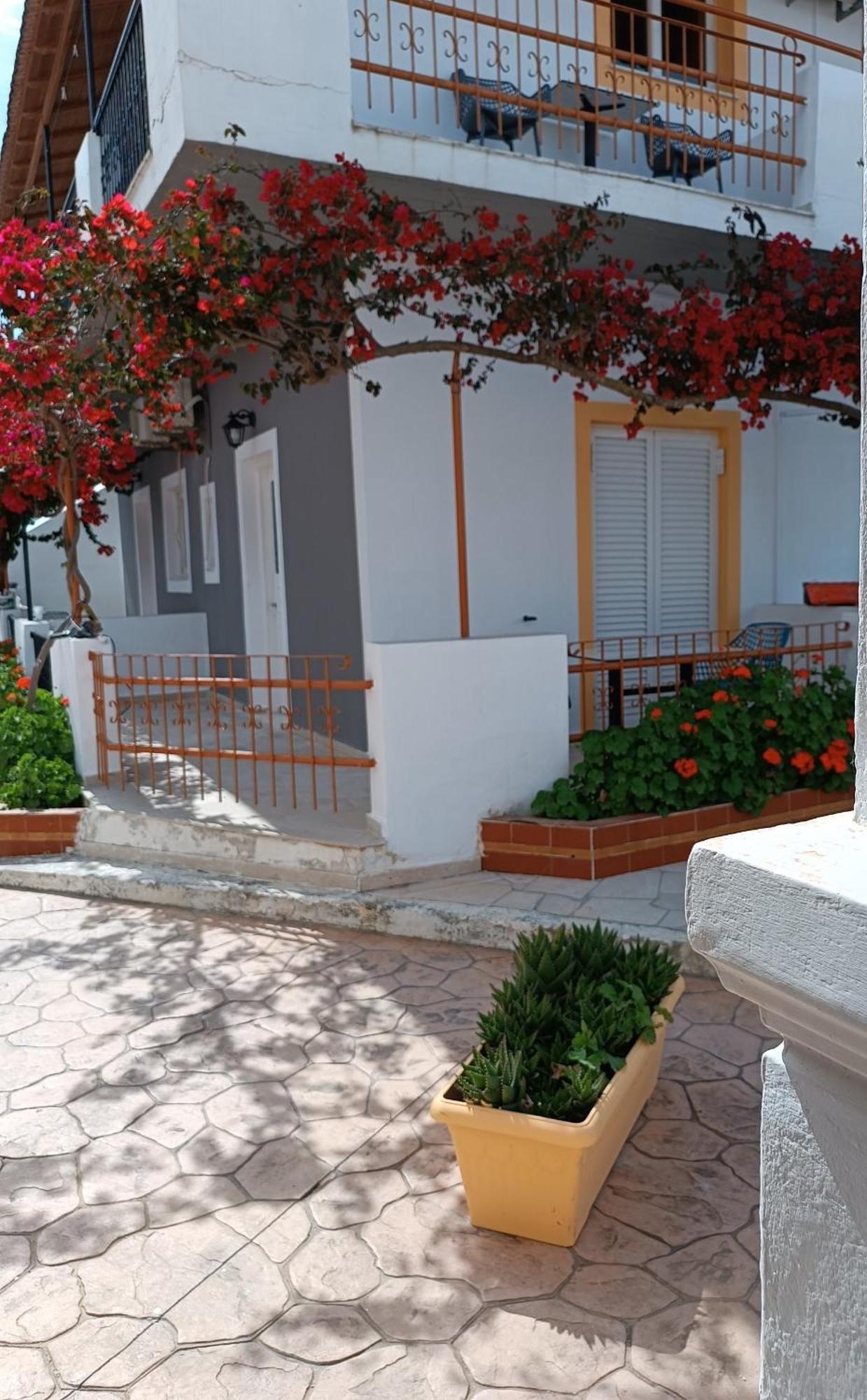 Sofia Beach Apartments Κάβος Εξωτερικό φωτογραφία