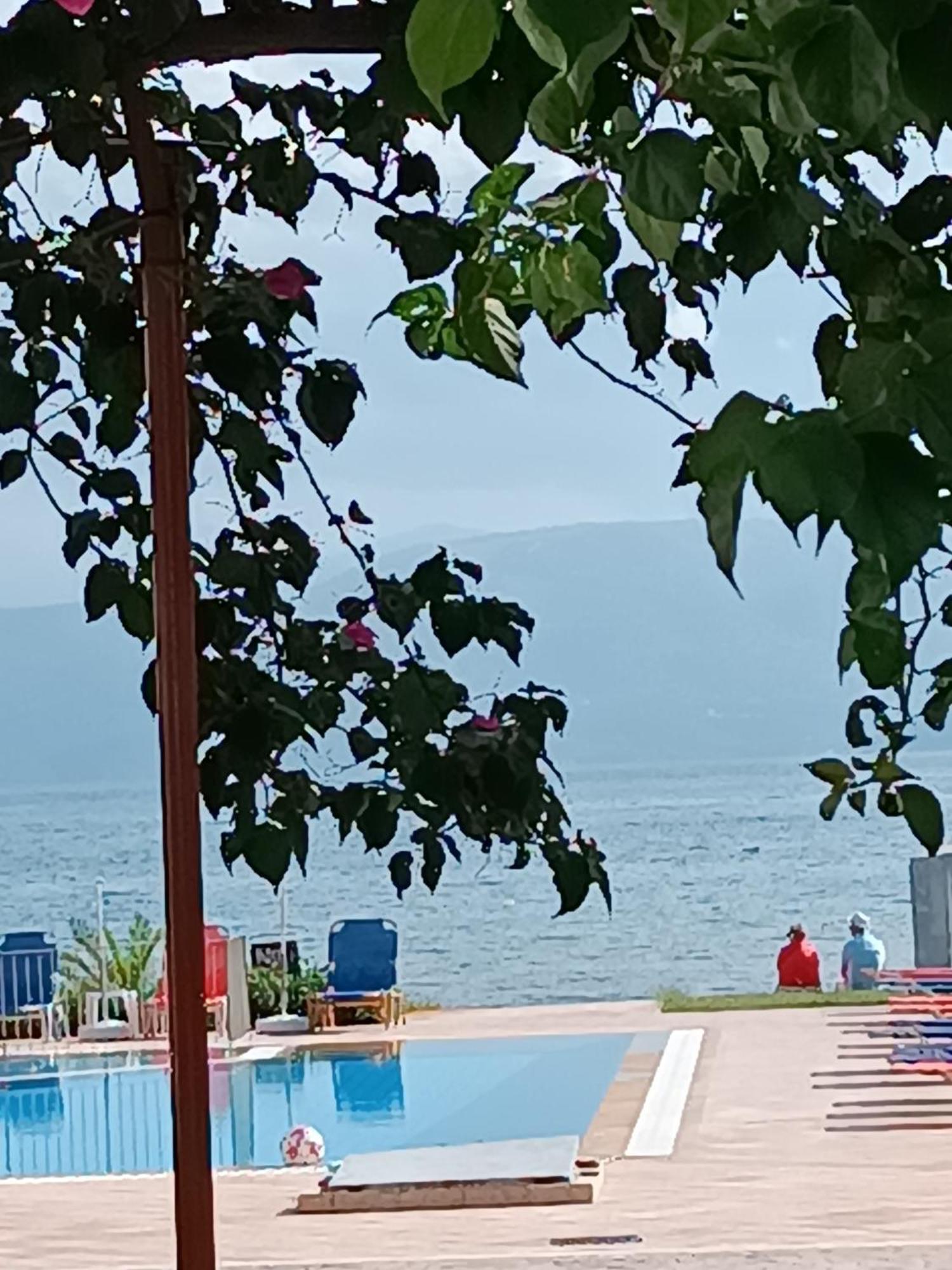 Sofia Beach Apartments Κάβος Εξωτερικό φωτογραφία