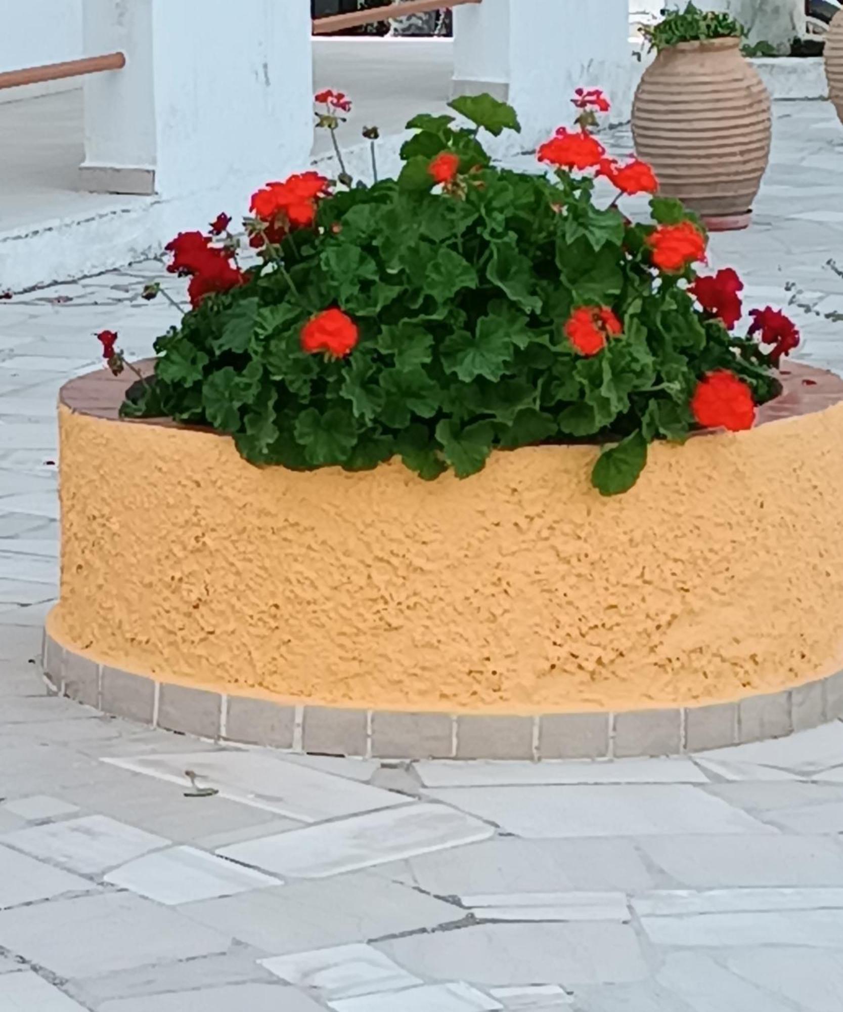 Sofia Beach Apartments Κάβος Εξωτερικό φωτογραφία